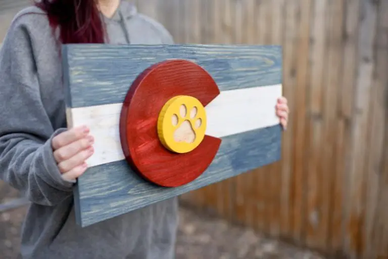 Colorado Dog Paw 3D Wall Flag – 20″