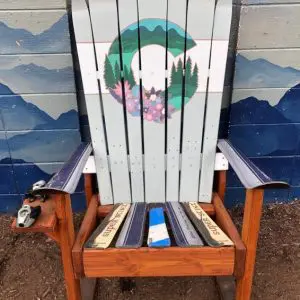 Mountain Forest Wildflower Ski Chair