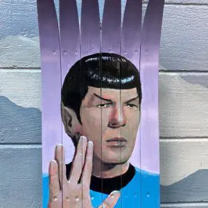 Spock Star Trek Ski Wall Art