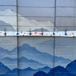Premium Aspen Ski Coat Hanger
