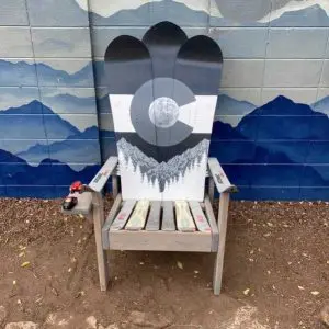 Grey Colorado Flag Ski & Snowboard Chair