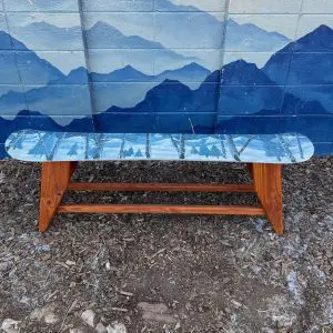 A Walk in the Winter Woods Snowboard Bench | Coffee Table