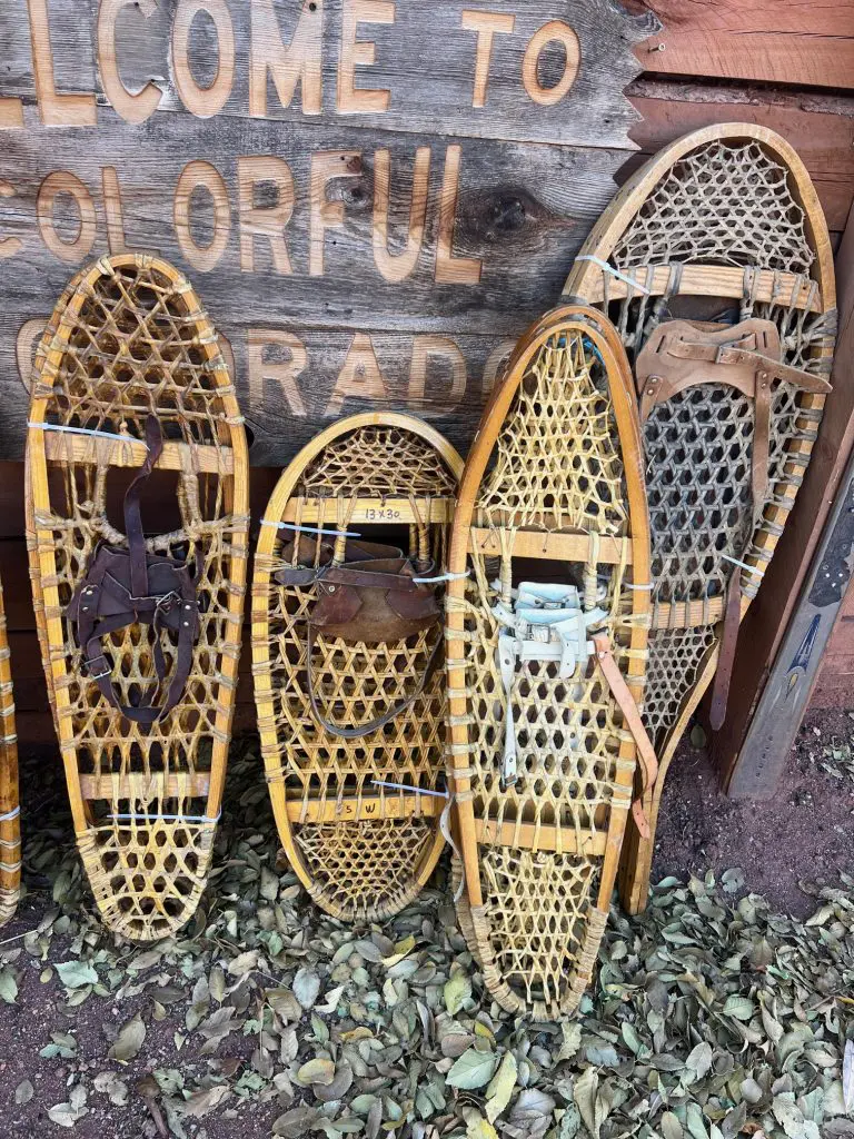 Antique Oval-Shaped Vintage Snowshoes