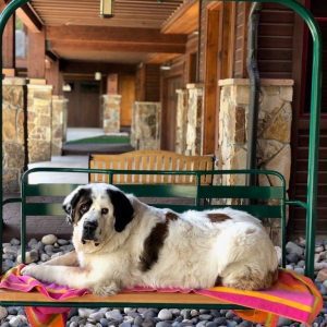 ONLY 3 LEFT - Original 1964 Chairlift Riblet from SnowRiver Resort, Michigan