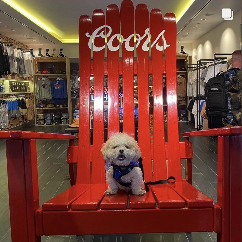 XXL GIANT ADIRONDACK CHAIR 84 (7 foot tall) Oversize - Red Hand Painted Oil