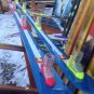 Colorado Shot Glass Skis