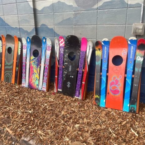 IMG_2681-1-e1691271773513 IMG_2681-1-e1691271773513