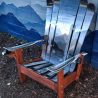 Monochromatic Desert Cactus hybrid ski/snowboard chair