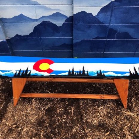 Colorado Mountain Mural Single Snowboard Bench/ Coffee Table