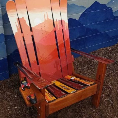 IMG_5604-e1641248364121 desert cactus Adirondack hybrid ski/snowboard chair
