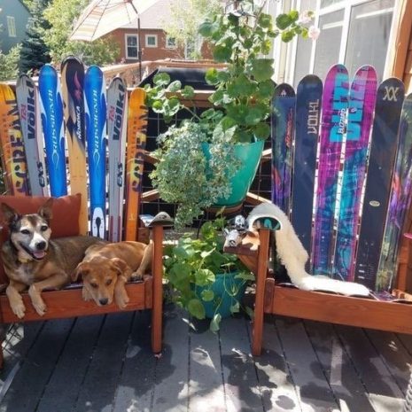 IMG_5749-1 IMG_5749-1