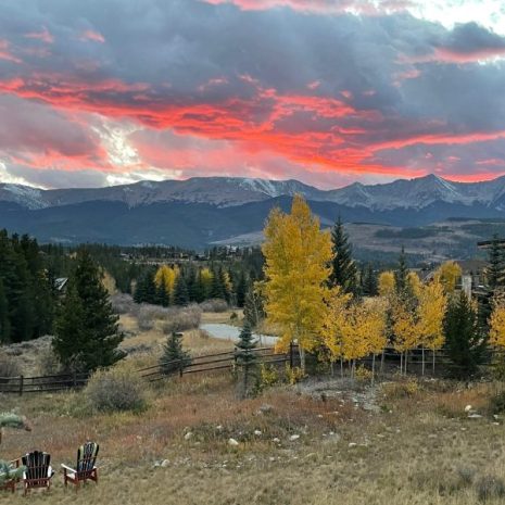 IMG_5986-rotated-e1679098366833 IMG_5986-rotated-e1679098366833