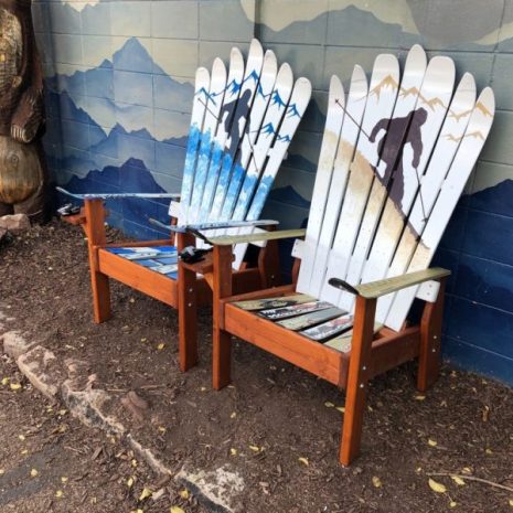 IMG_6445-e1666130304647 IMG_6445-e1666130304647