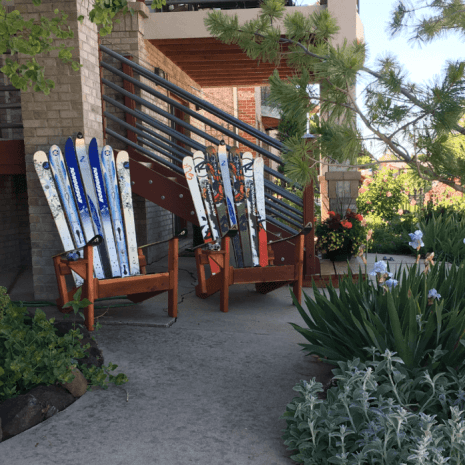 IMG_6849-1-e1513661384918 IMG_6849-1-e1513661384918