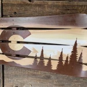 Decorative Shaded brown Colorado ski wall art