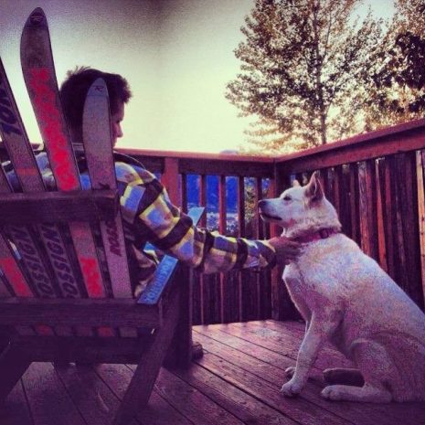 img3-e1513666858694 img3-e1513666858694