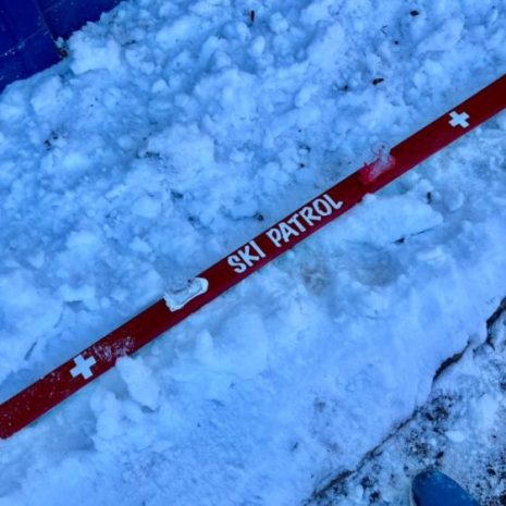 IMG_1227 (1) IMG_1227 (1)