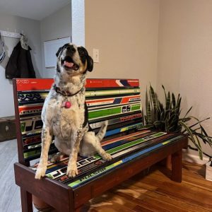 Customizable Booth Style Ski Bench