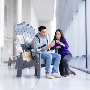 Black and Grey Colorado Monochrome Ski Chairs - Set of 2