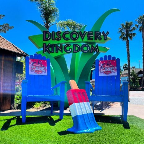 xxl-discovery-kingdom xxl-discovery-kingdom