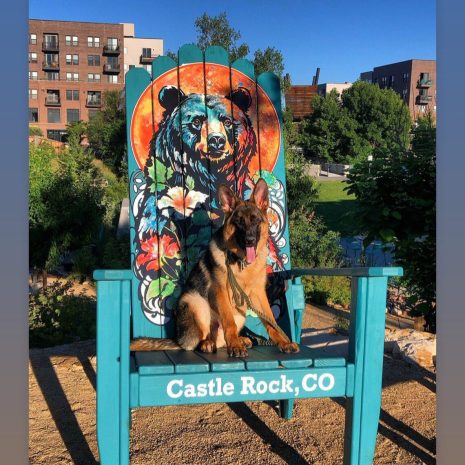 il_1140xN.6243291766_jert il_1140xN.6243291766_jert