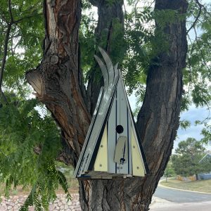 Ski Chalet Birdhouse - Request color